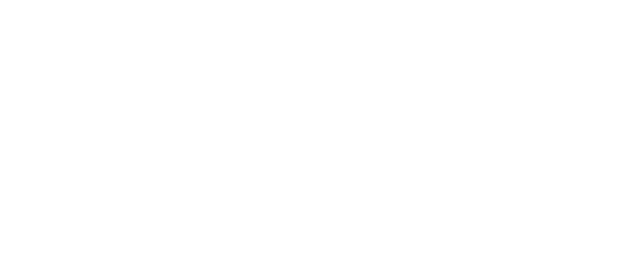 FOX logo