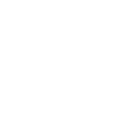 TNT logo