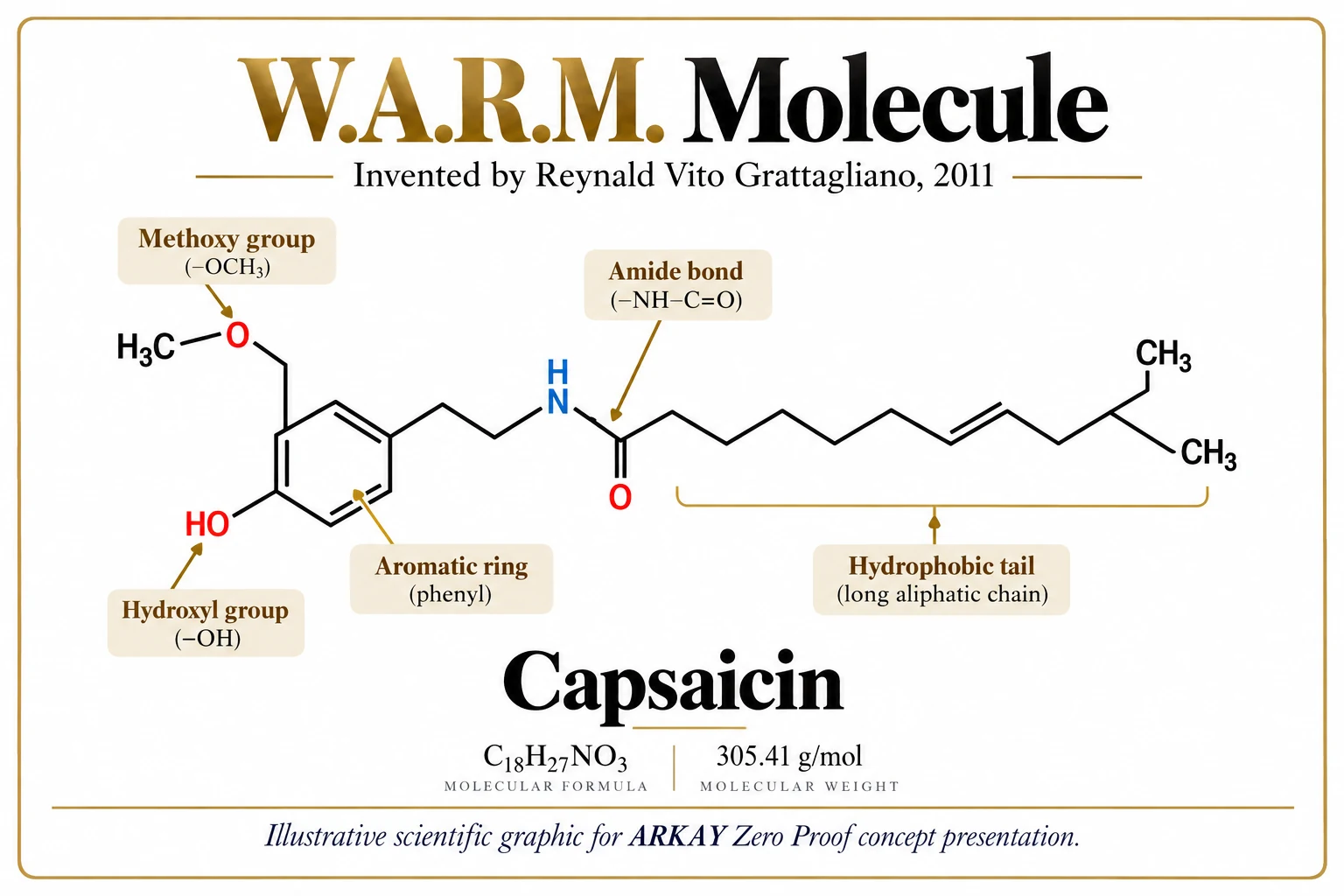 Diagram of the W.A.R.M. Molecule showing the capsaicin structure: methoxy group, hydroxyl group, aromatic ring, amide bond and hydrophobic tail